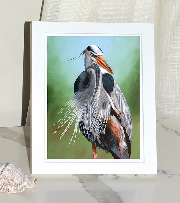 Great Blue Heron Framed Art Print