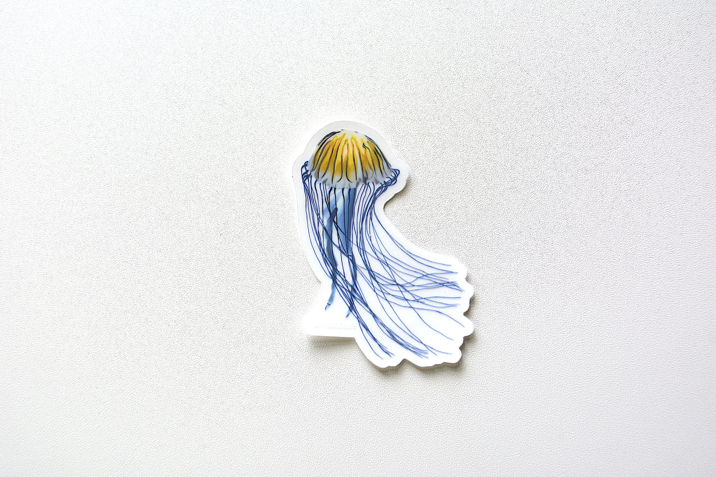 Jellyfish Clear Waterproof Vinyl Sticker
