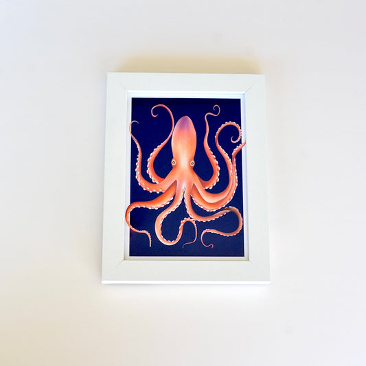 Octopus Framed Art Print