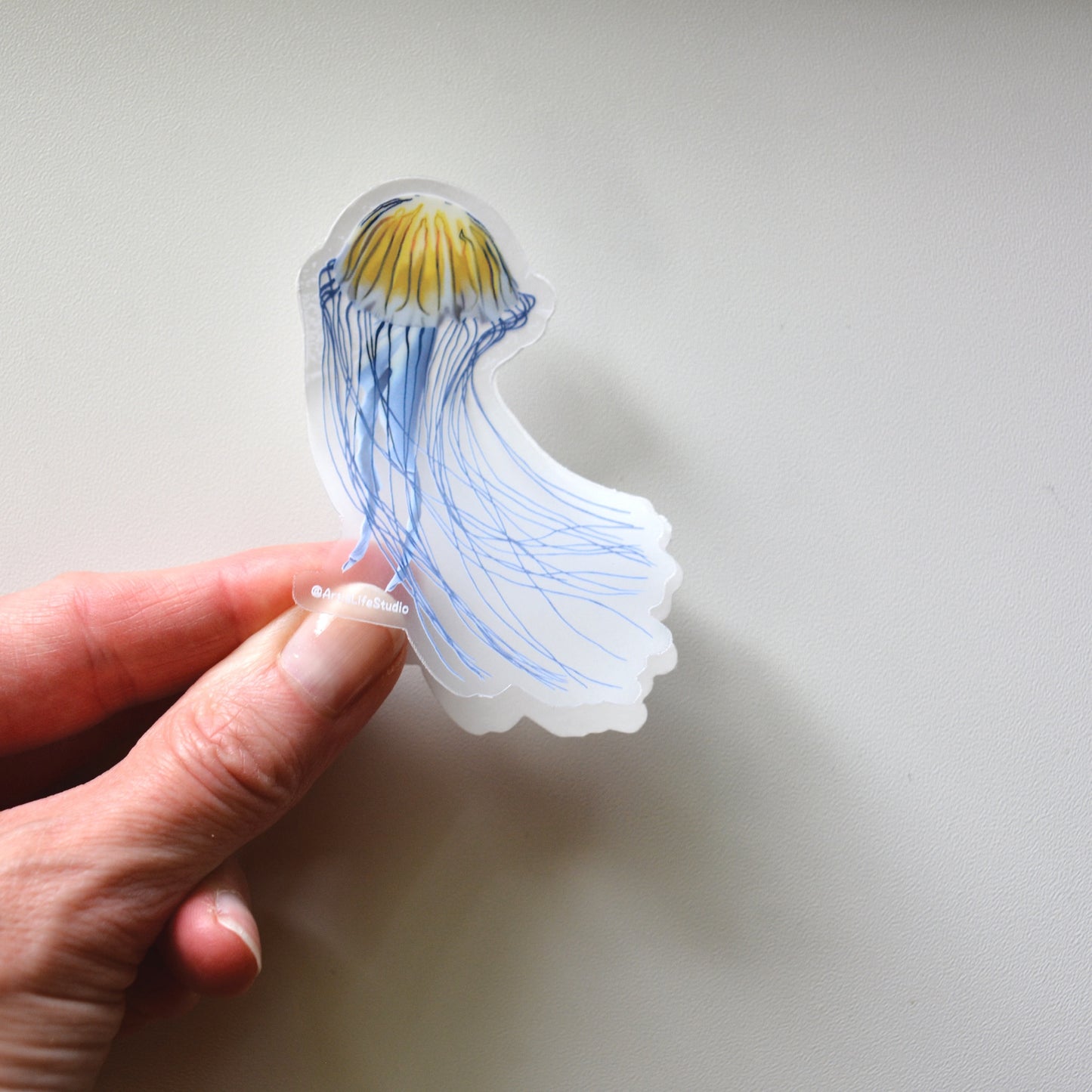 Jellyfish Clear Sticker