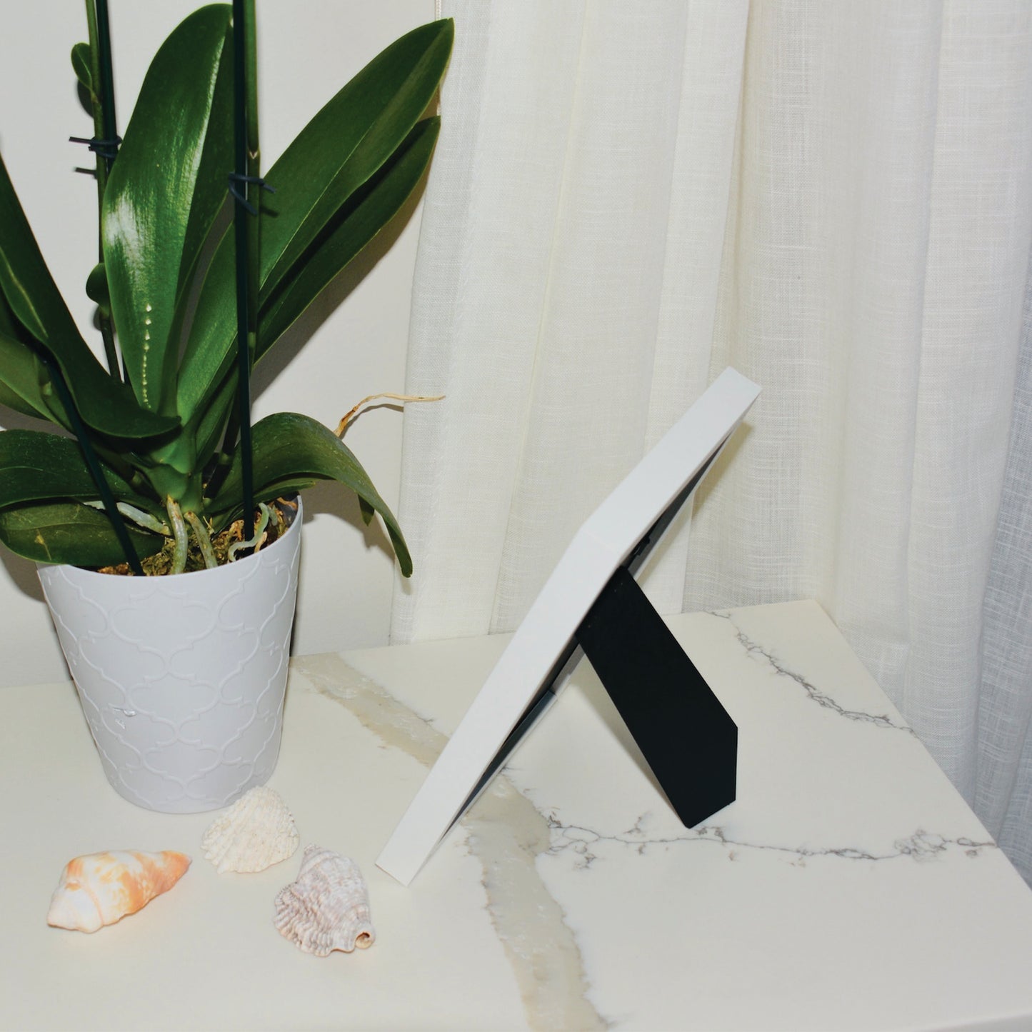 Into the Deep Turtle Framed Art Print