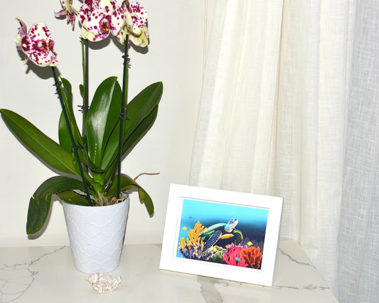 White Wood Framed Art Print of turtle swimming underwater with fish and coral displayed next to potted orchid plant and seashell on a table