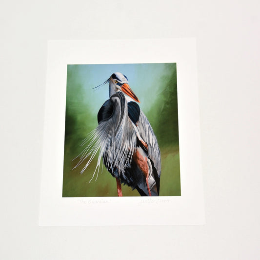 Great Blue Heron Art Print Unframed