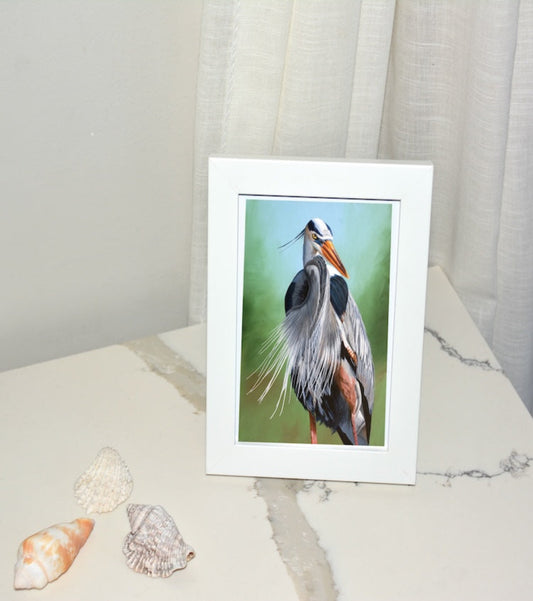 Great Blue Heron Framed Art Print
