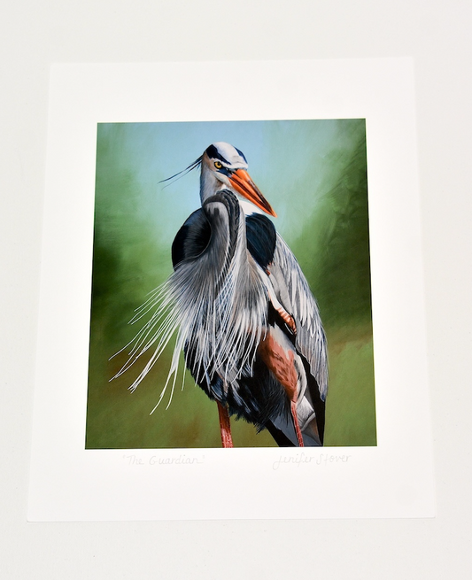 Great Blue Heron Art Print Unframed