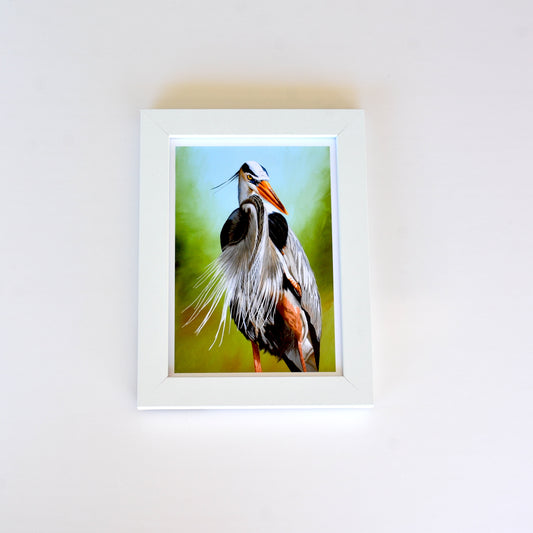 Great Blue Heron Framed Art Print