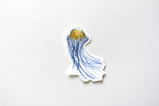 Hand illustrated Clear Vinyl Sticker of a jellyfish on a white table