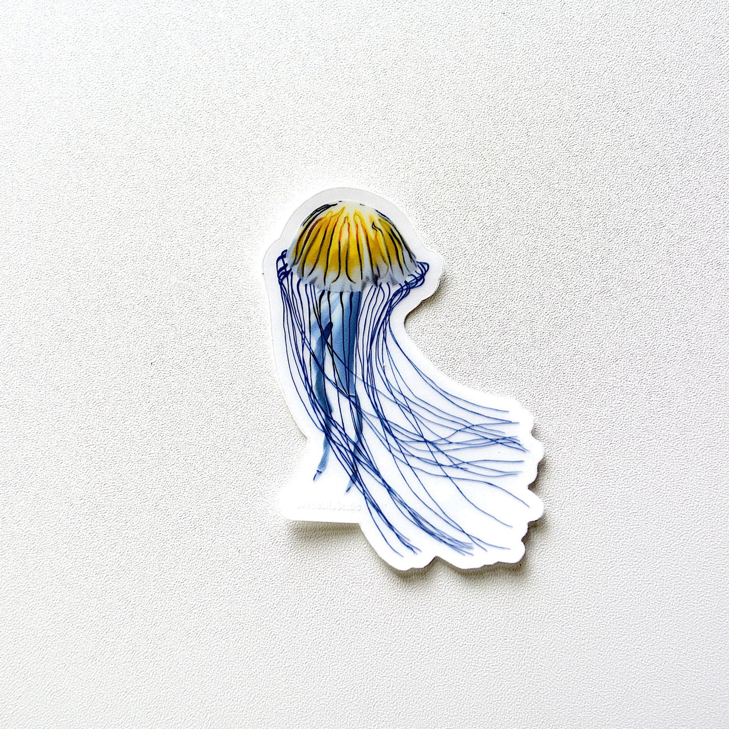 Jellyfish Clear Sticker