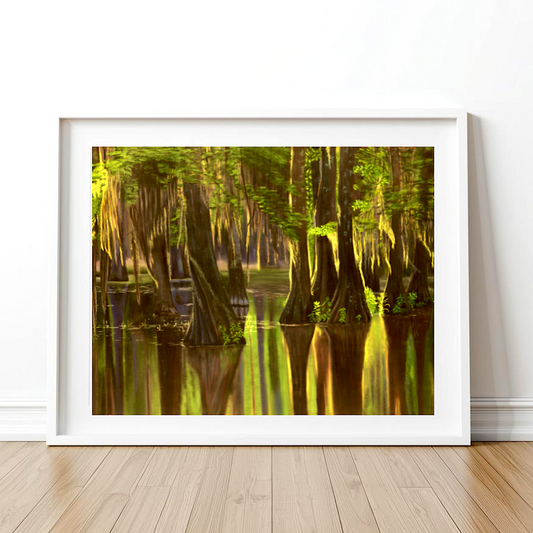 Morning Glory Art Print Unframed