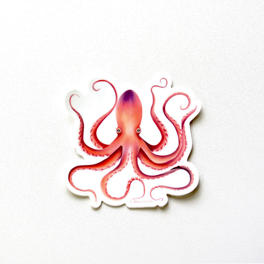 Octopus Sticker