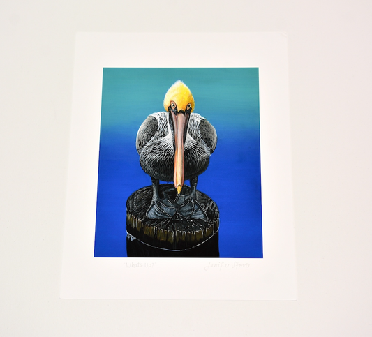Pelican Art Print, Unframed