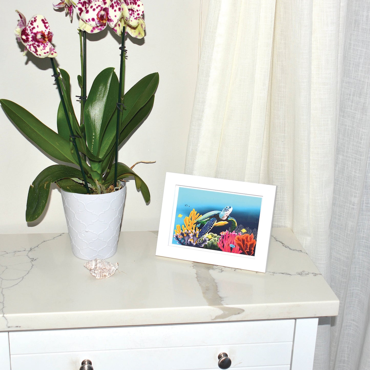 Into the Deep Turtle Framed Art Print