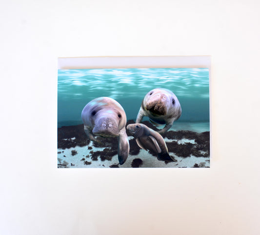 Two Manis and a Pedi Manatee Notecard