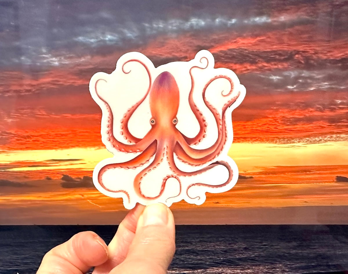 Watercolor Octopus Durable Weatherproof Vinyl Sticker