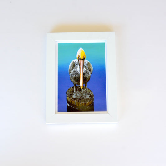 Pelican Framed Art Print