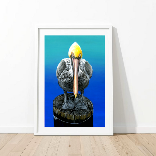 Pelican Unframed Art Print