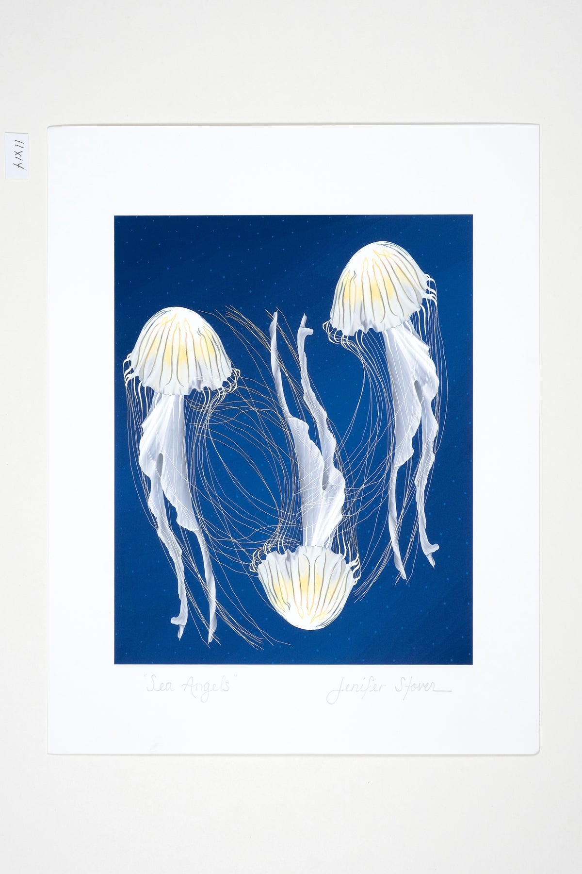 Museum Quality "Sea Angels" Jellyfish Unframed Fine Art Print