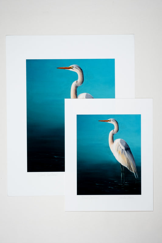Museum Quality White Egret Unframed Fine Art Print
