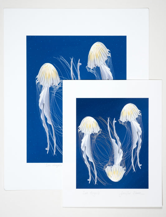Museum Quality "Sea Angels" Jellyfish Unframed Fine Art Print