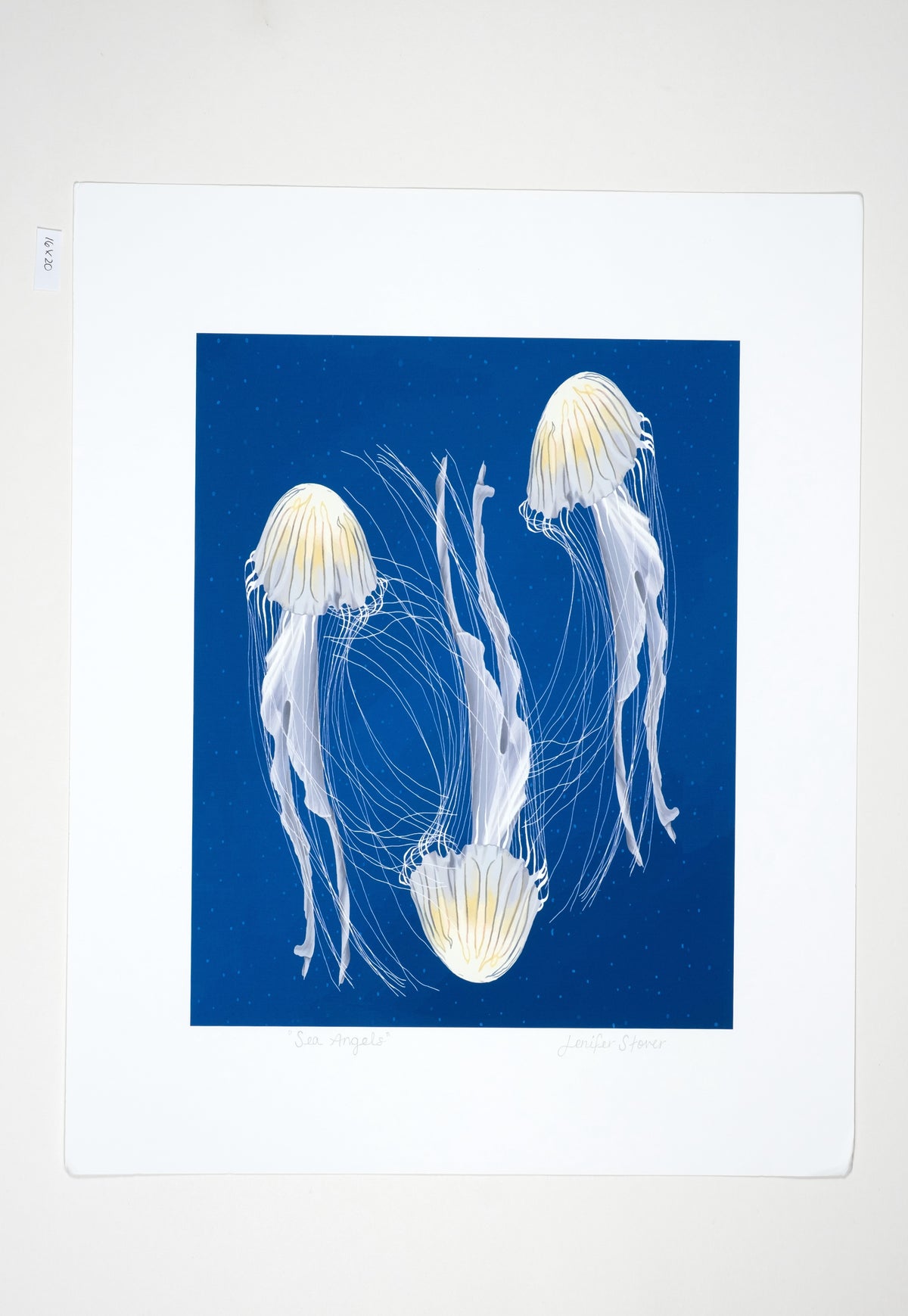 Museum Quality "Sea Angels" Jellyfish Unframed Fine Art Print