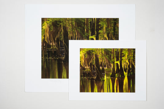 Museum Quality "Morning Glory" Fine Art Print Unframed